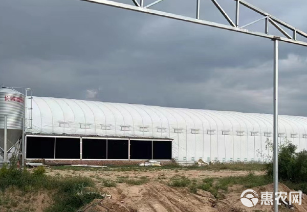 专营大棚管材大棚骨架大棚材料养殖大棚种植大棚连栋棚