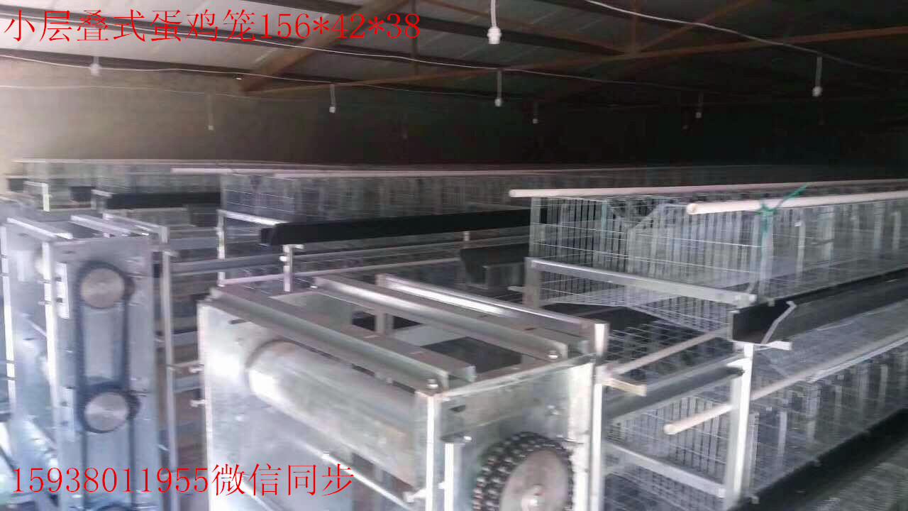 供应蛋鸡笼小层叠自动化养殖设备批发价格 - 厂家、畜牧养殖机械与养殖设备指南